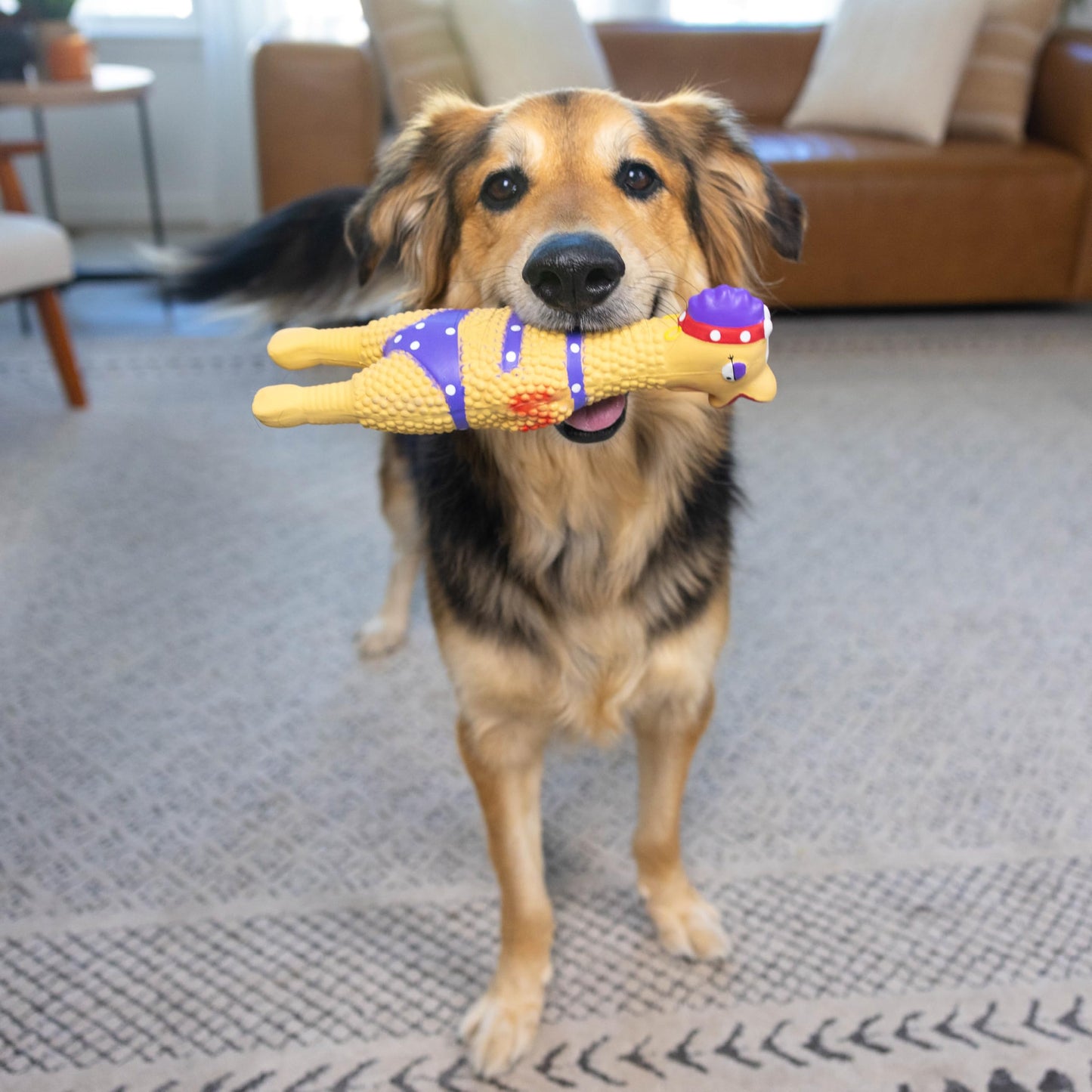 Outward Hound by Charming Pet Squawkers Henrietta Latex Squeaky Rubber Chicken Dog Toy, Funny Interactive Holiday Toy for Dogs, Large Size