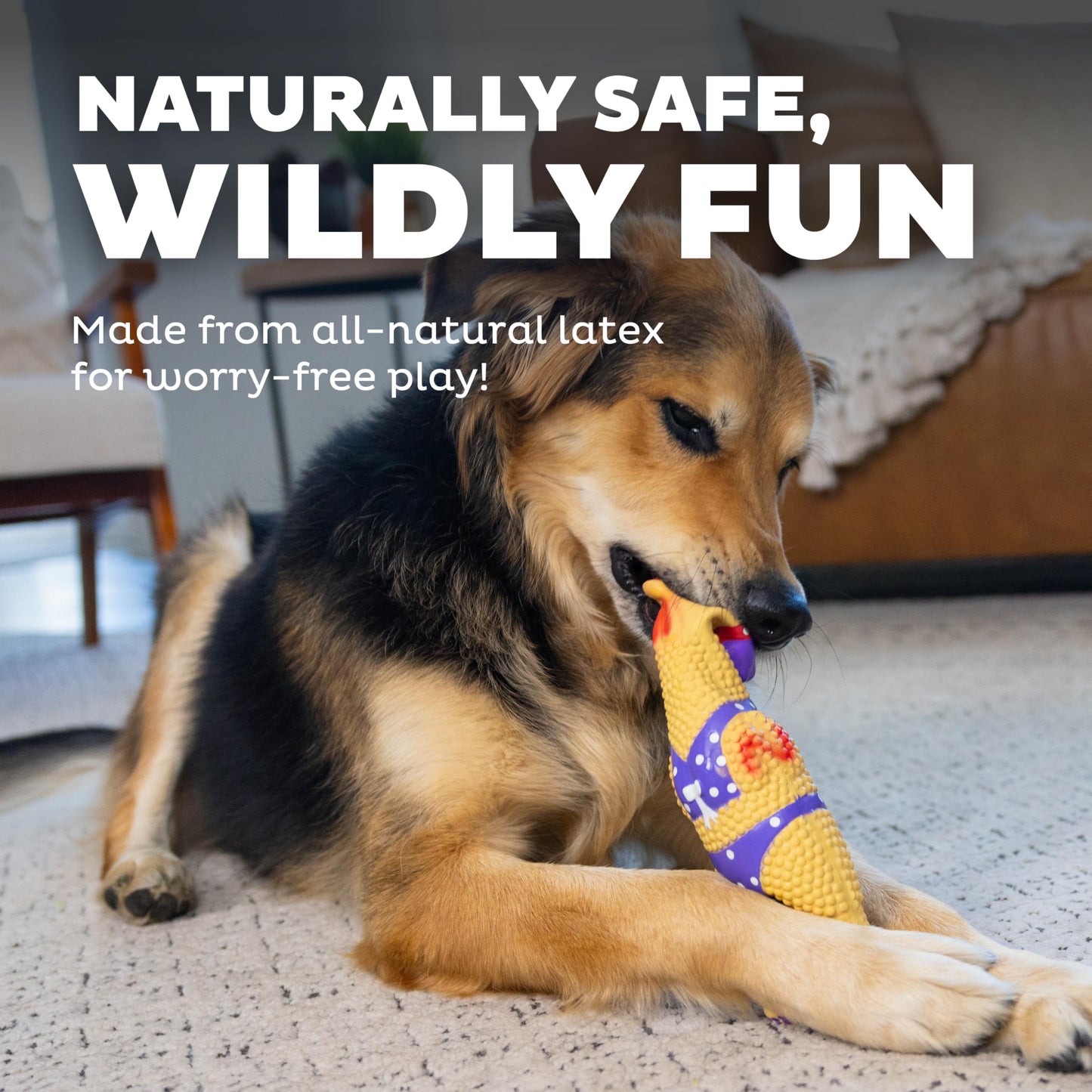 Outward Hound by Charming Pet Squawkers Henrietta Latex Squeaky Rubber Chicken Dog Toy, Funny Interactive Holiday Toy for Dogs, Large Size