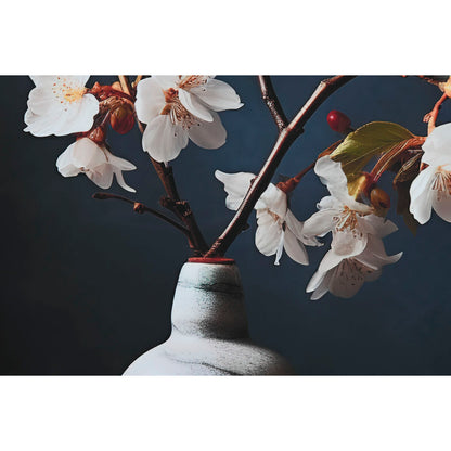 V7H10F52A2BBBDF96DE2B72CADB8099C813R7092423P4