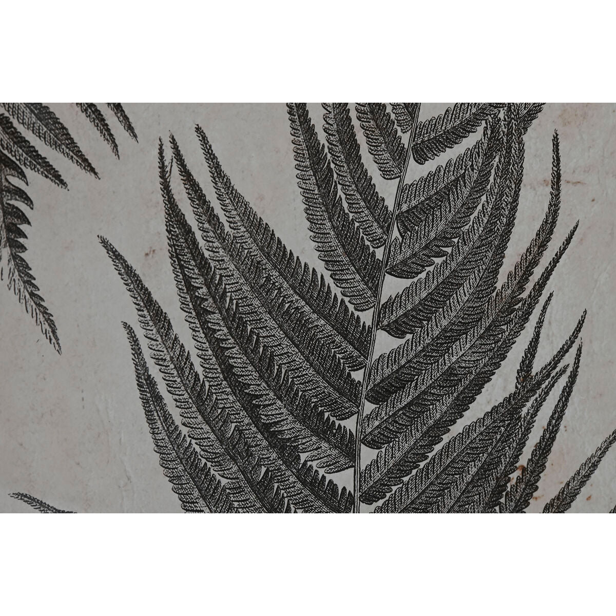 V7H4457B3DE2435646A5A7E3601C14CC036R6371820P3