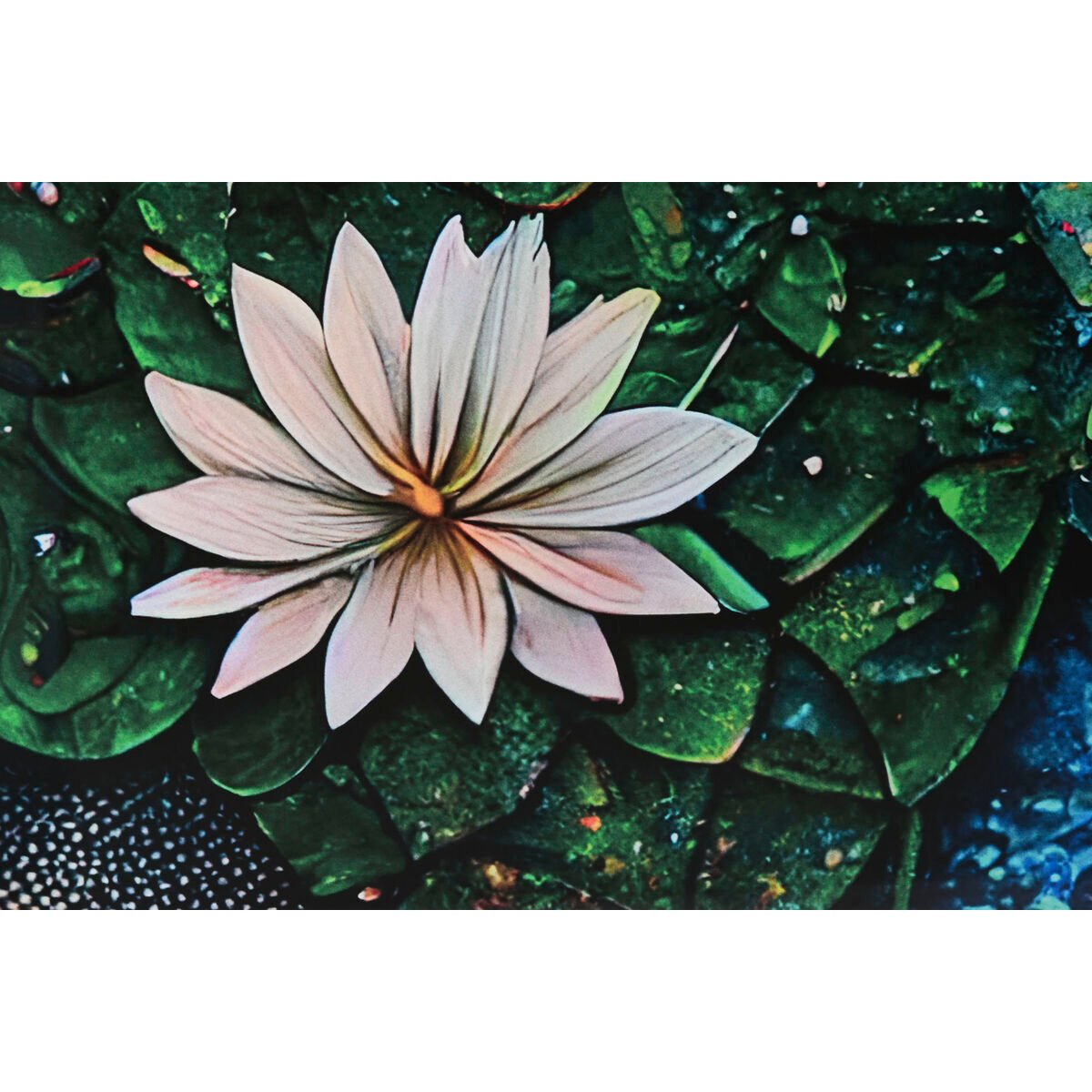 V4HB2619BE10D872E534230A5F0193EBE33R6316465P3