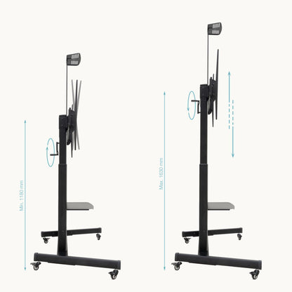 V3H77638147026A229C0C4DE460E9E9C41AR7414642P8