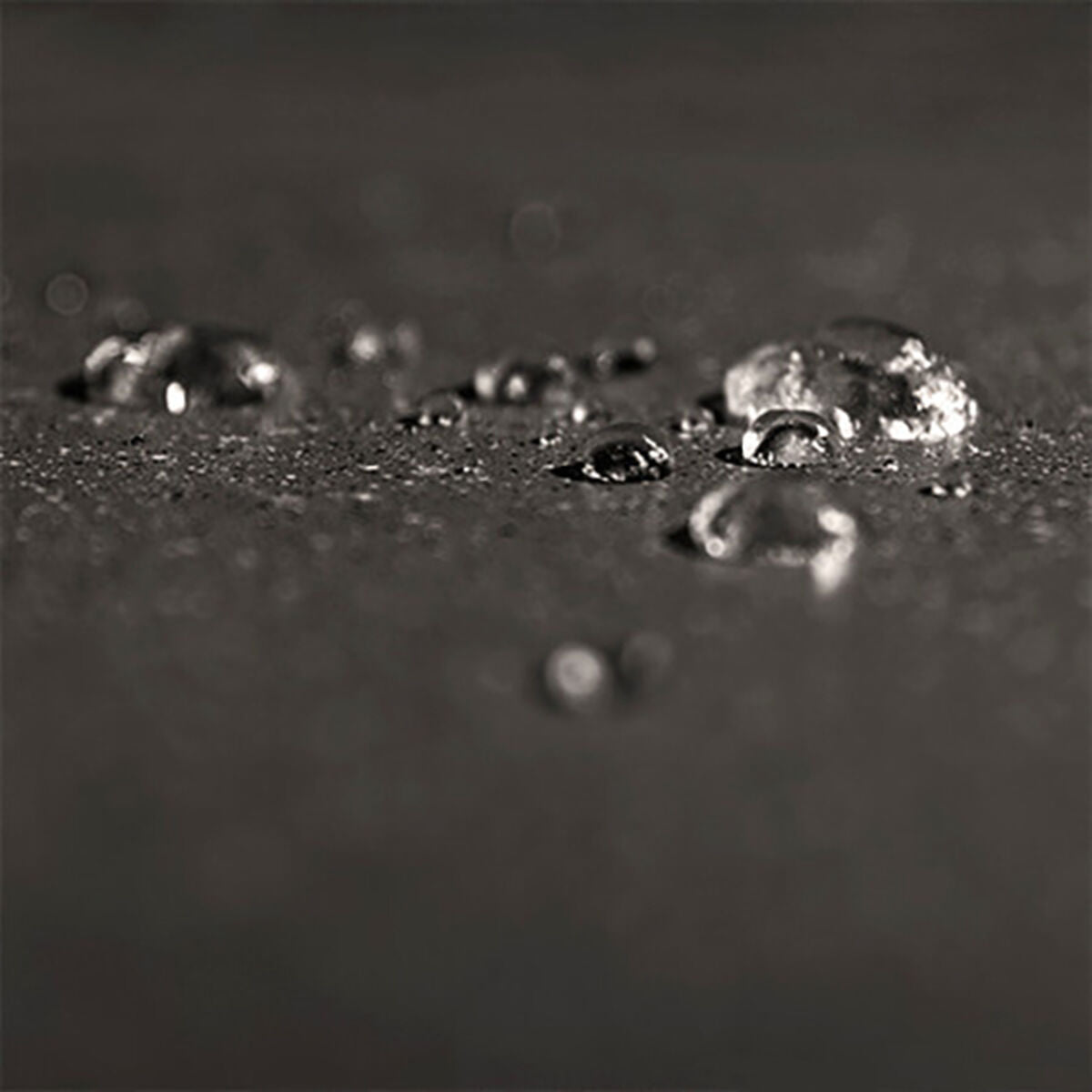 V12HC75519006FCEEA1761BBCFD41A6DE208R1909908P7