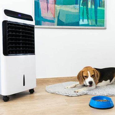 V13HEAA9BF26B50A8FF181A6798DA961959ER4153784P2