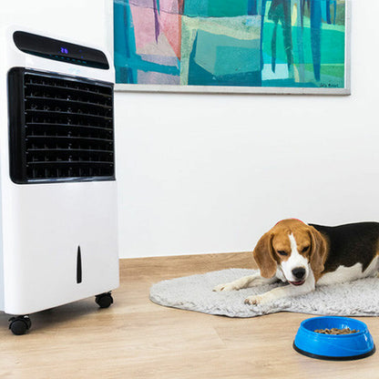 V12HEAA9BF26B50A8FF181A6798DA961959ER4153784P2