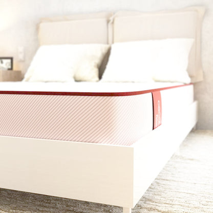 V2H3373550384D4C507DCF0CFD8A8F2E146R7647975P7