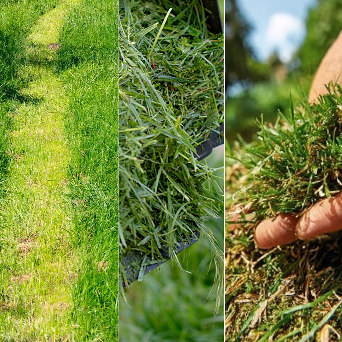 V2H438CAE2E630EECA4D27EB60FE1DE89A9R7646436P8