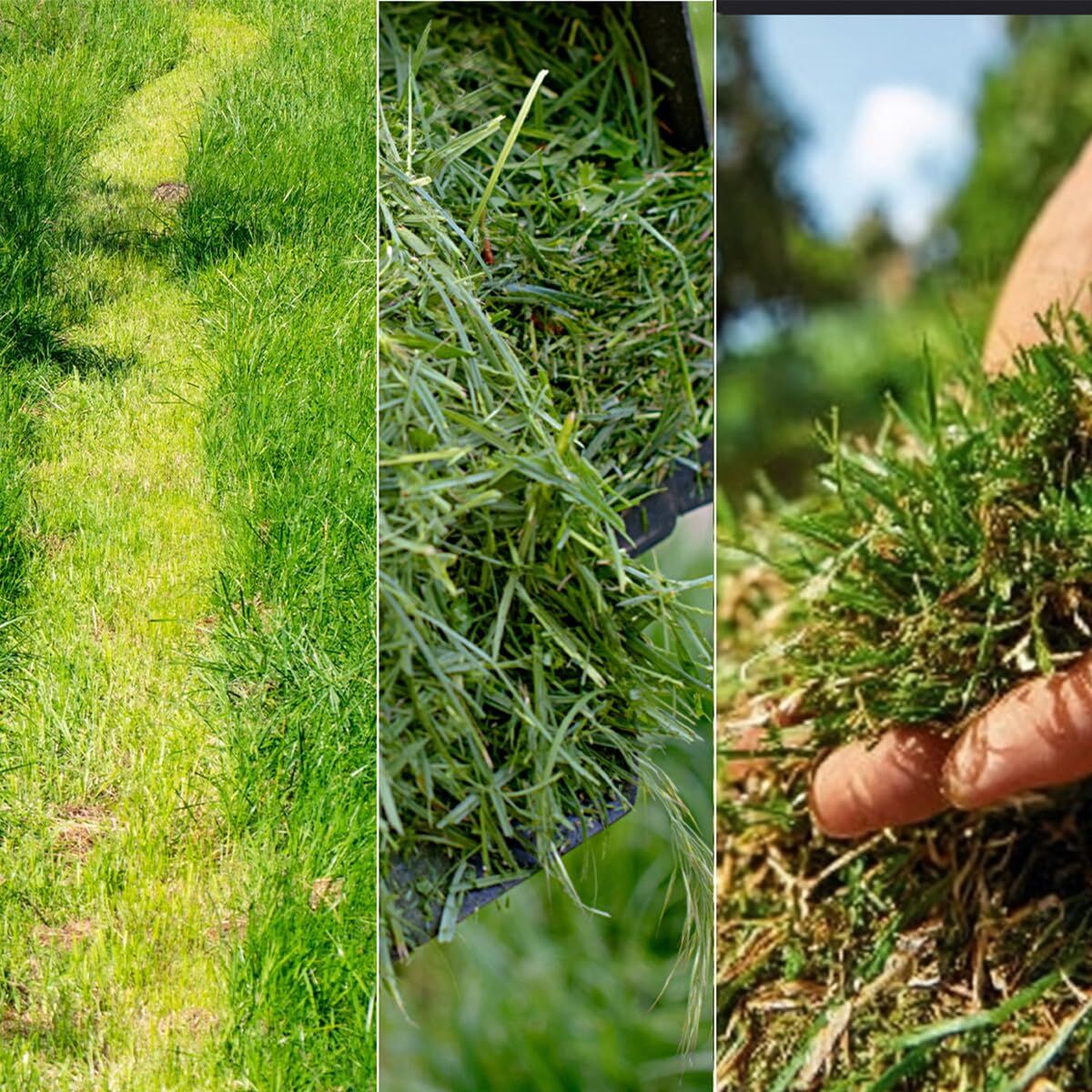 V2H1F1E088298DBB62D382660ED08DC5FF7R7646482P8