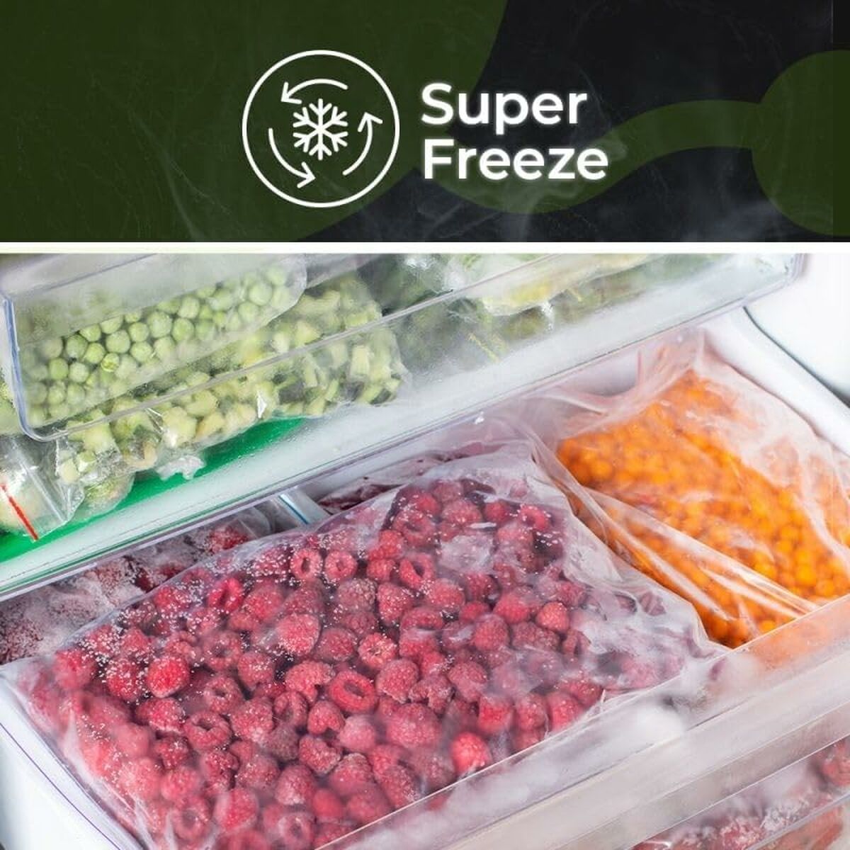 V5H42199BA04B09D27A47C6951D257EB0A2R7309566P5