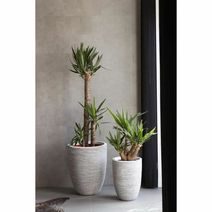 V4HA37B1191B2606D90E5D7B382074DA806R5081412P2