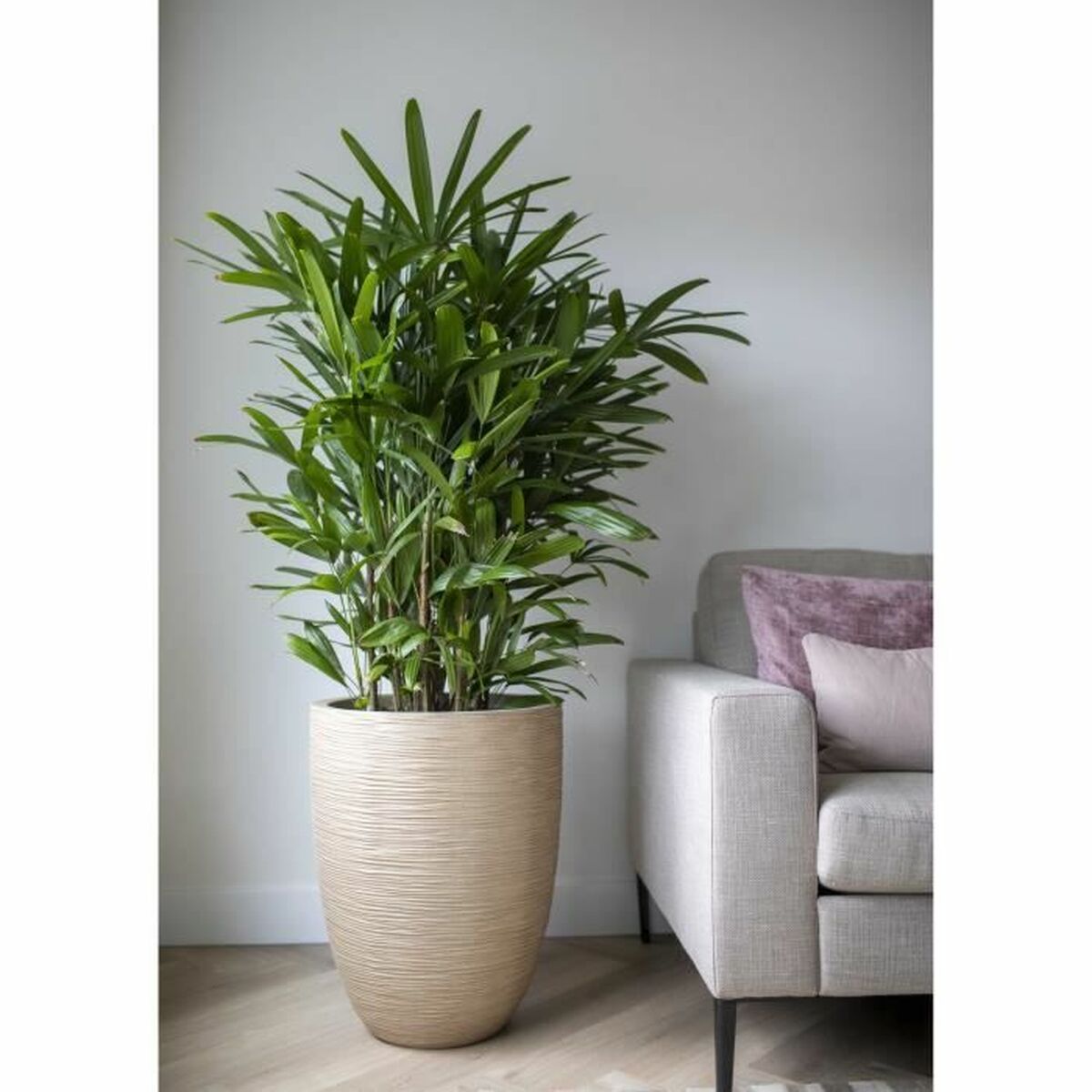 V4H9125989C541FB3F4EBA5BF27A710C3EFR5081461P2