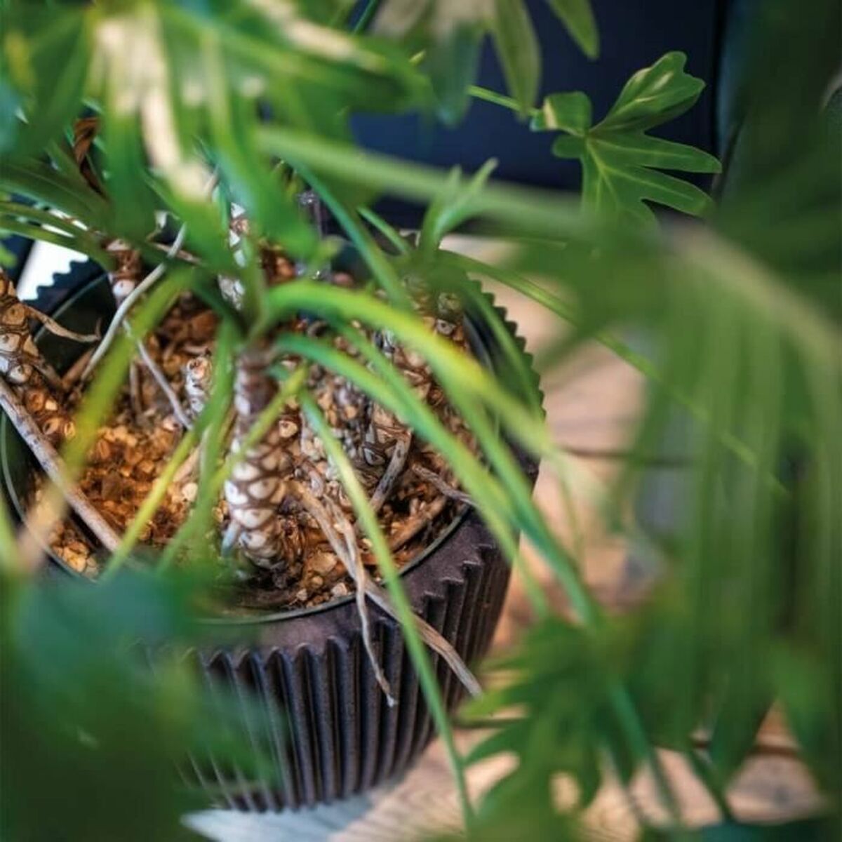 V5H8806723BBB9240019484CD95AB28FAB3R5081448P3