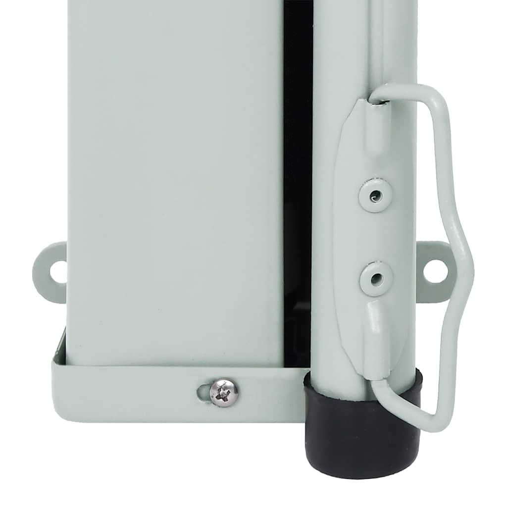 Seitenmarkise 160x300 cm Schwarz