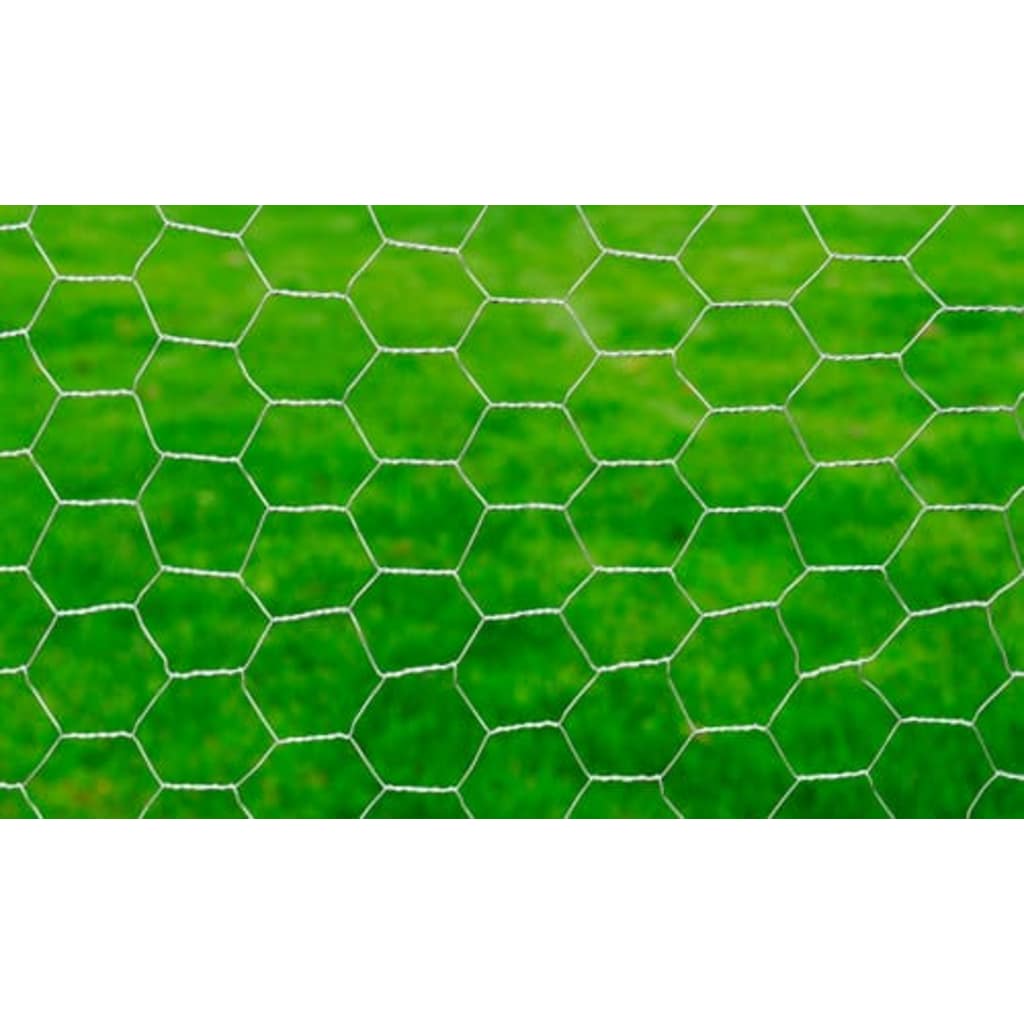 Drahtzaun für Hühner Verzinkter Stahl 25x1 m Silbern