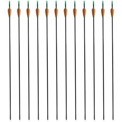 Recurvebogen-Pfeile 30" 0,6 cm Fiberglas 12 Stk.