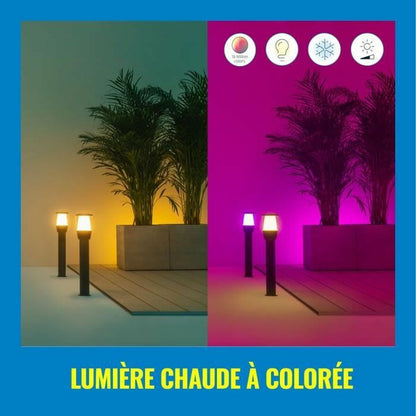 V4H0754EF8D26C78717BACAB0732DAEDD83R4494665P3