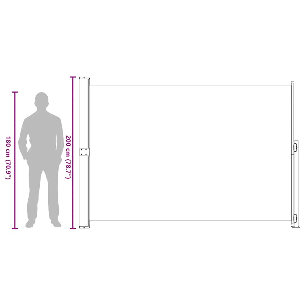 Seitenmarkise Ausziehbar 200x300 cm Blau
