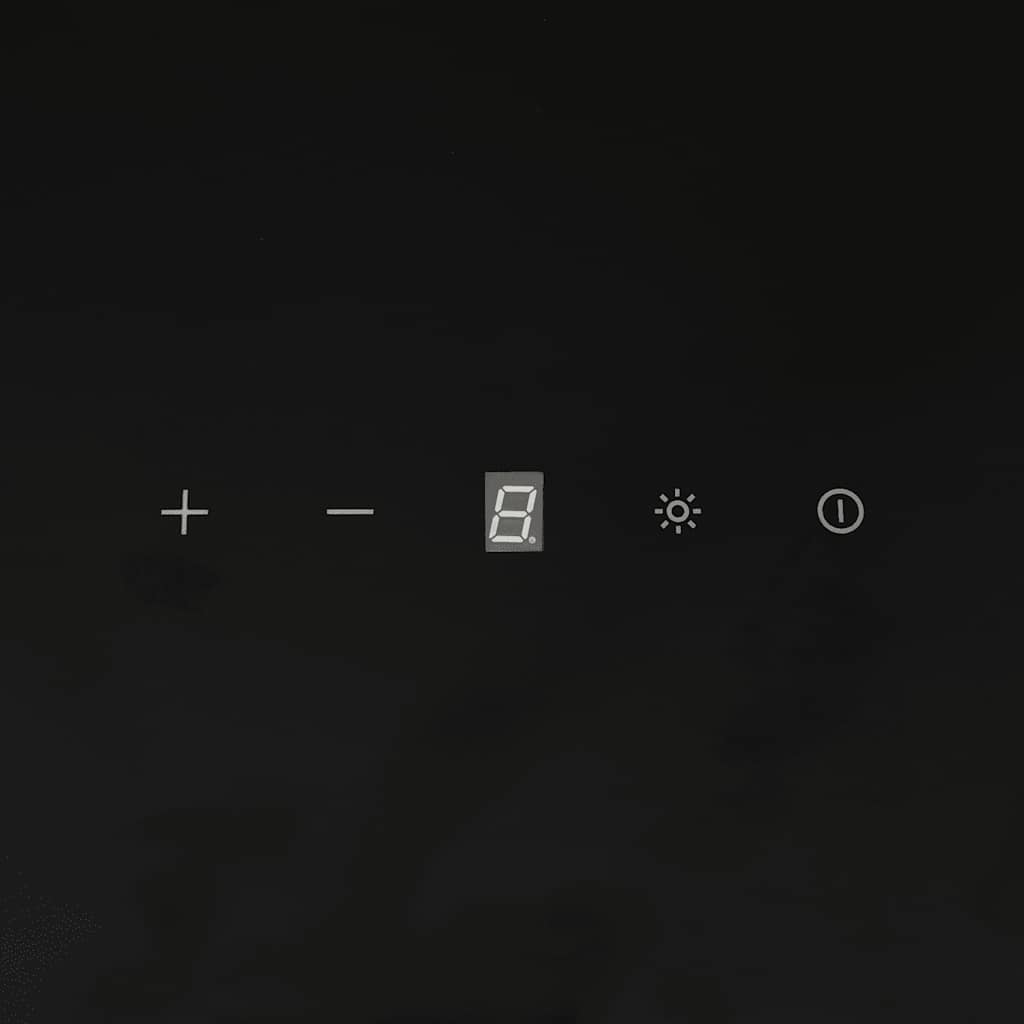 Dunstabzugshaube 60 cm Stahl und Hartglas Schwarz