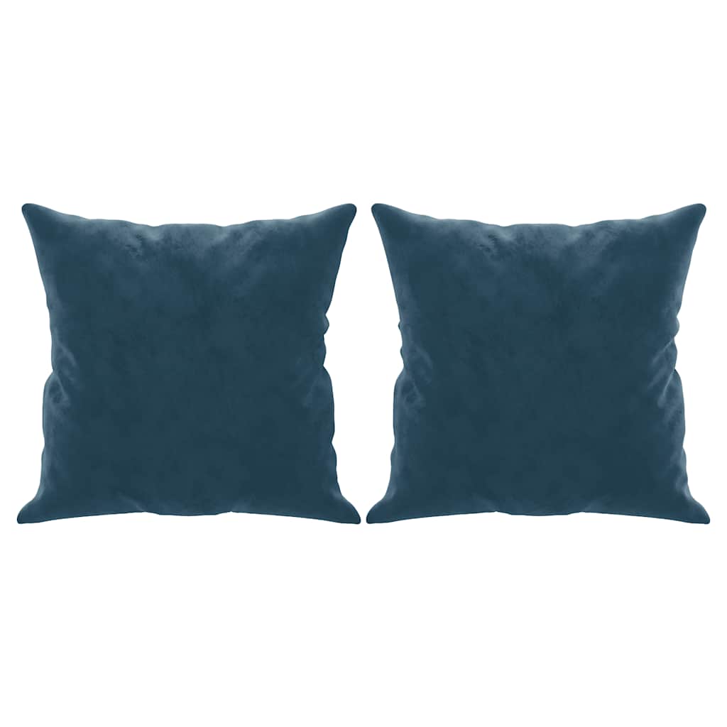 Zierkissen 2 Stk. Blau 40x40 cm Samt