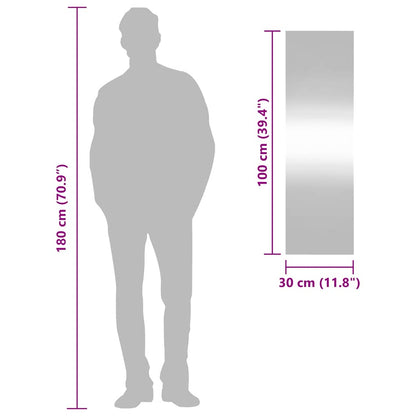 Wandspiegel 30x100 cm Glas Rechteckig