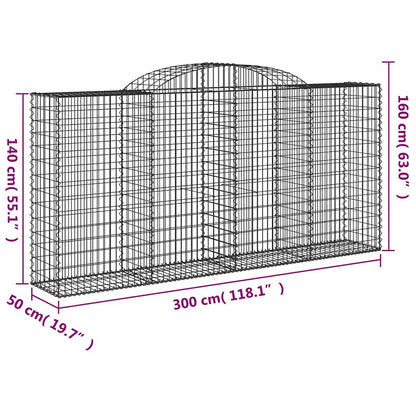 Gabionen mit Hochbogen 2 Stk. 300x50x140/160cm Verzinktes Eisen