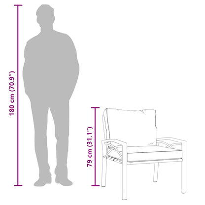 Gartenstühle mit Sandfarbigen Kissen 2 Stk. 68x76x79 cm Stahl