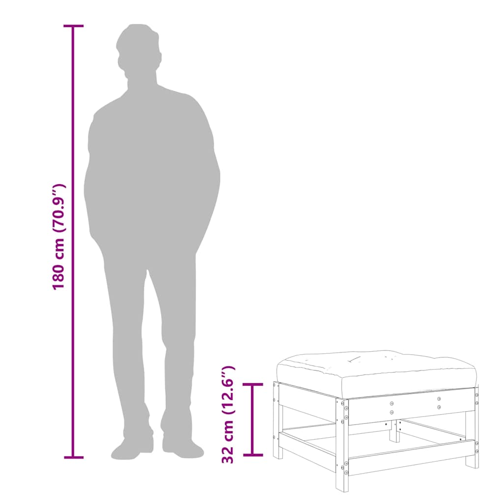 Gartenhocker mit Kissen 2 Stk. Kiefernholz Imprägniert