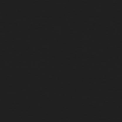 Gartenstühle mit Kissen 2 Stk. Grau Massivholz Kiefer