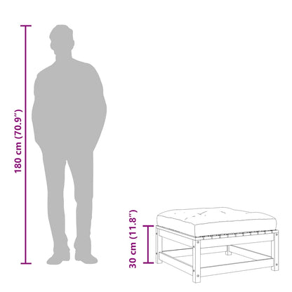Gartenhocker mit Kissen 2 Stk. Massivholz Douglasie