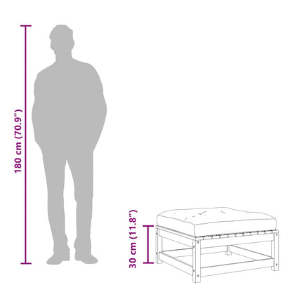 Gartenhocker mit Kissen 2 Stk. Kiefernholz Imprägniert