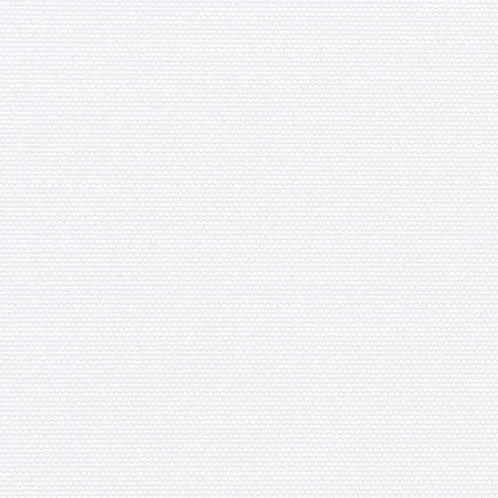 Seitenmarkise Ausziehbar Weiß 100x300 cm