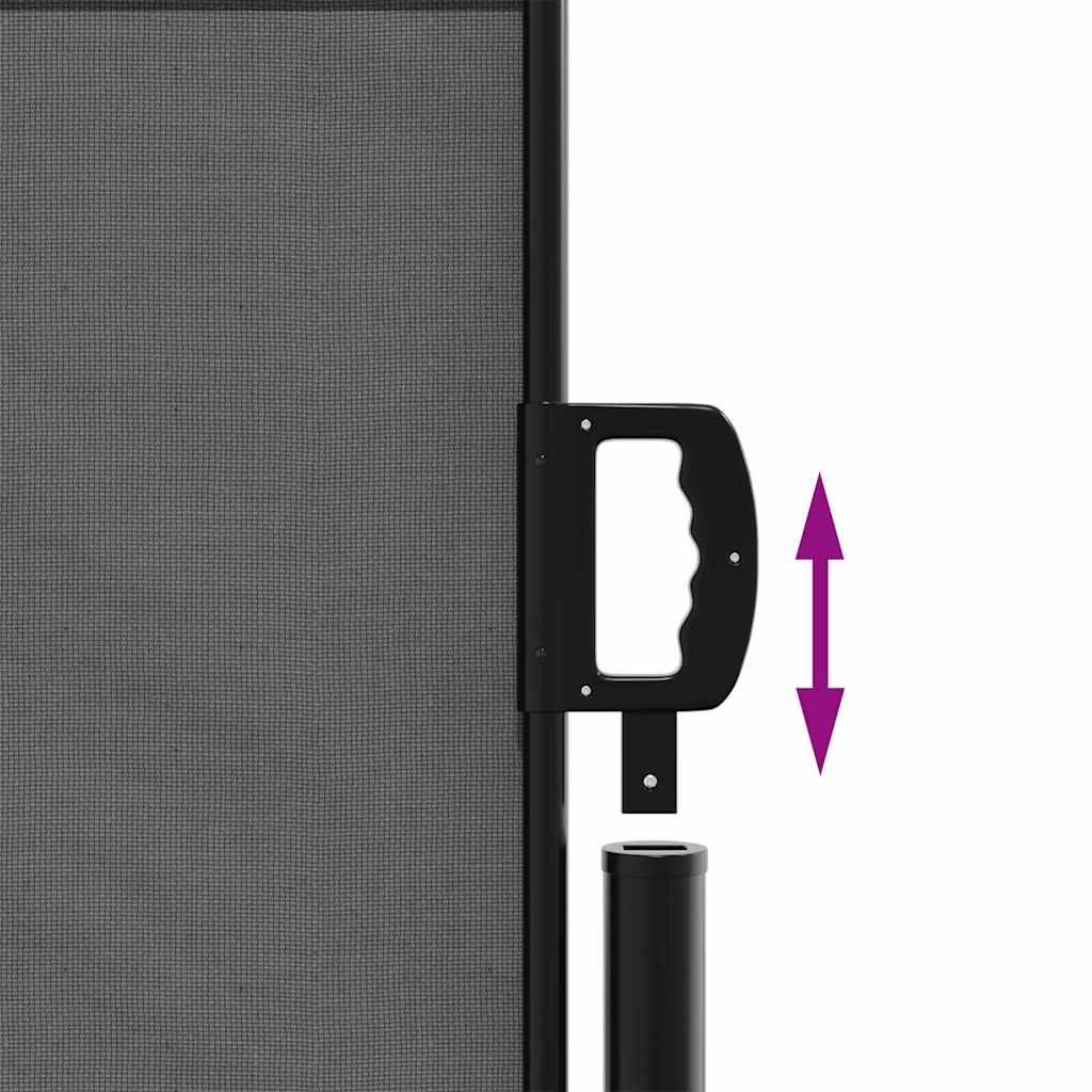 Ausziehbare Seitenmarkise Anthrazit 100x300 cm