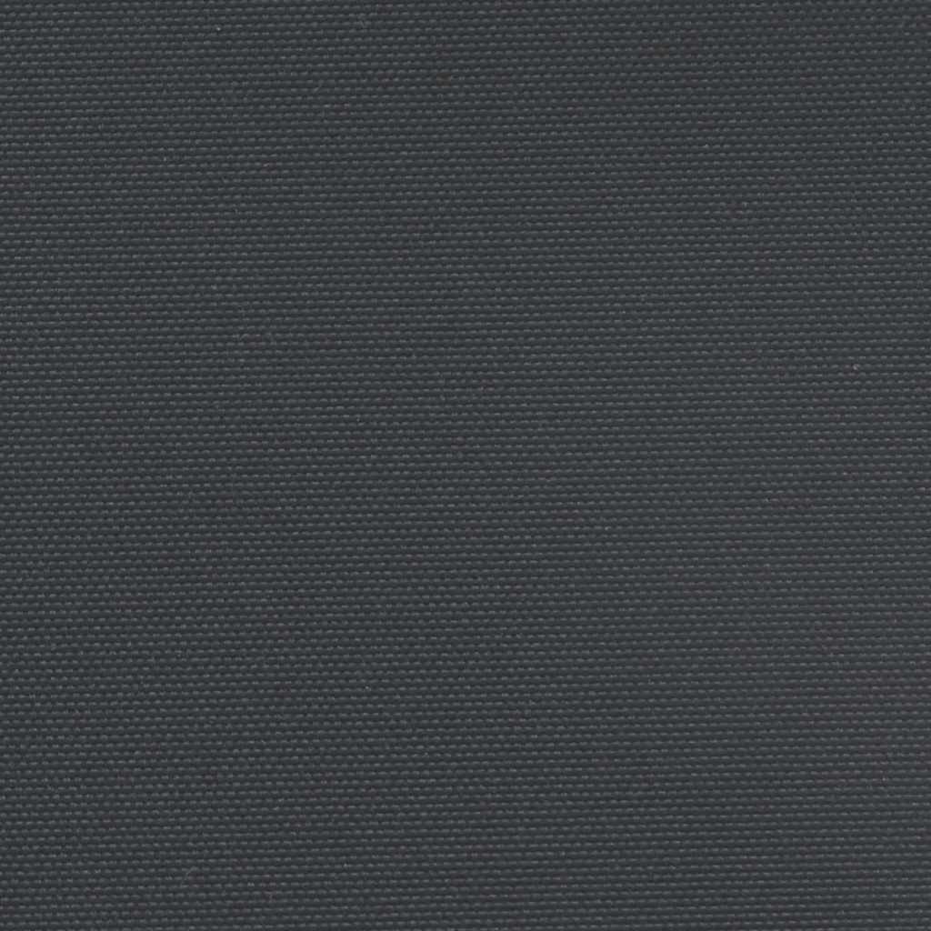 Seitenmarkise Ausziehbar Schwarz 100x500 cm