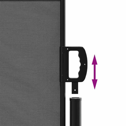 Ausziehbare Seitenmarkise Anthrazit 140x600 cm