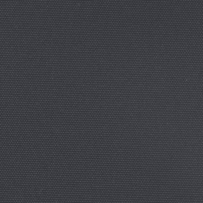 Seitenmarkise Ausziehbar Schwarz 140x600 cm