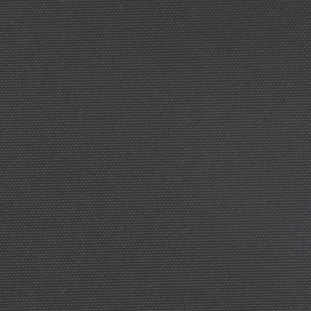 Seitenmarkise Ausziehbar Schwarz 180x600 cm