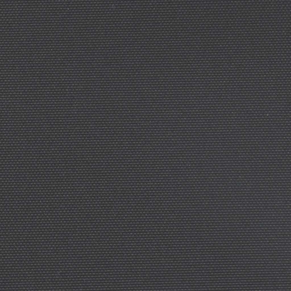 Seitenmarkise Ausziehbar Schwarz 120x1000 cm