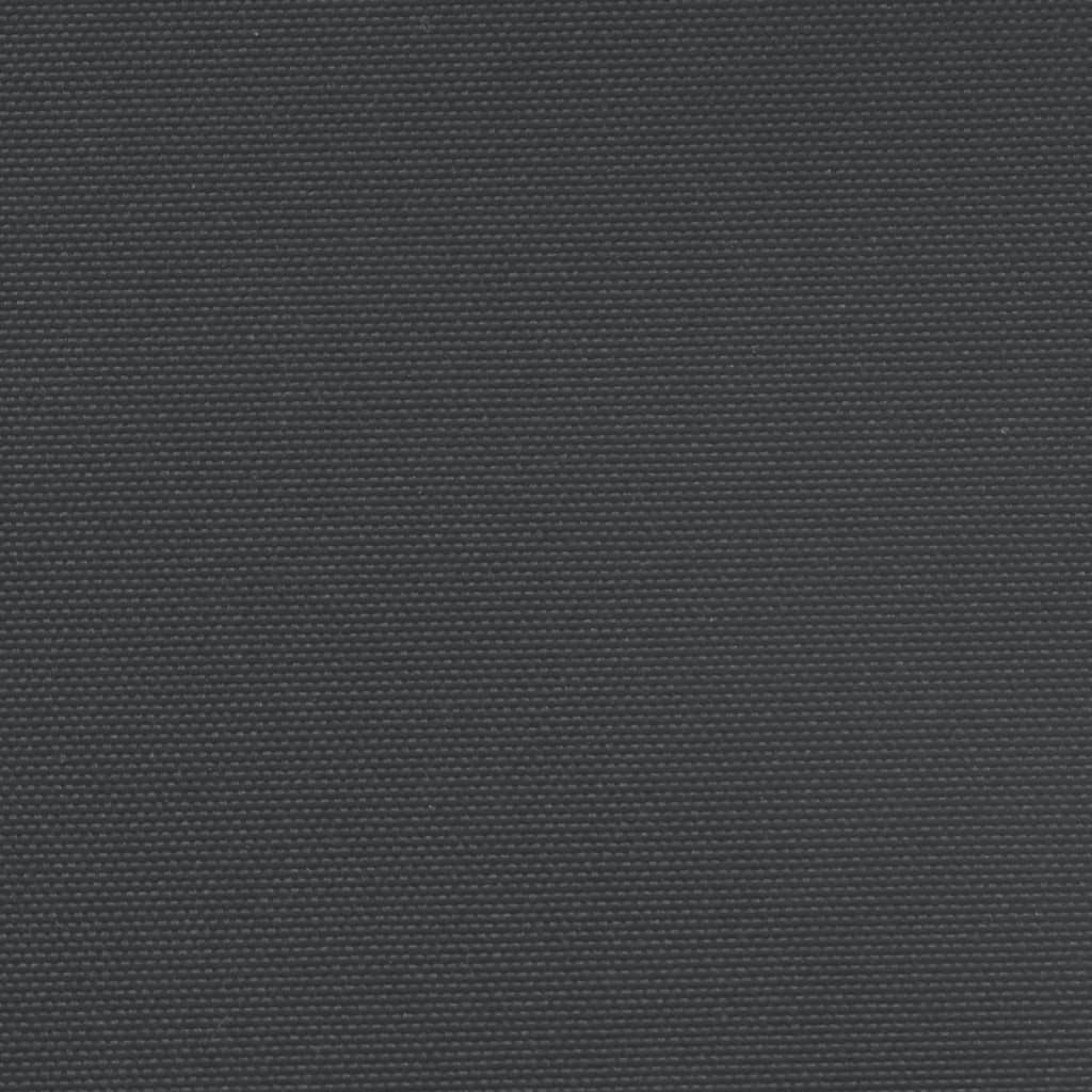 Seitenmarkise Ausziehbar Schwarz 140x1000 cm