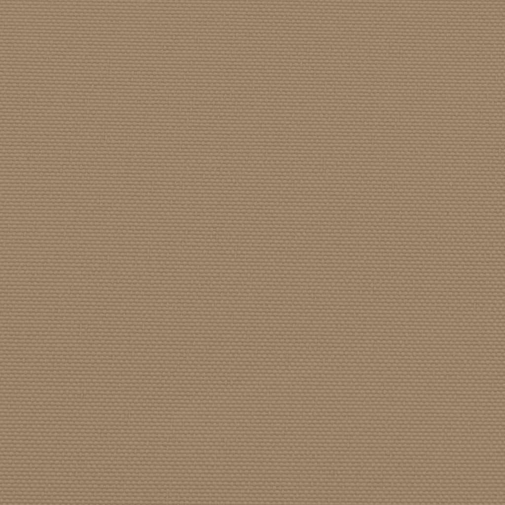 Seitenmarkise Ausziehbar Taupe 160x1000 cm