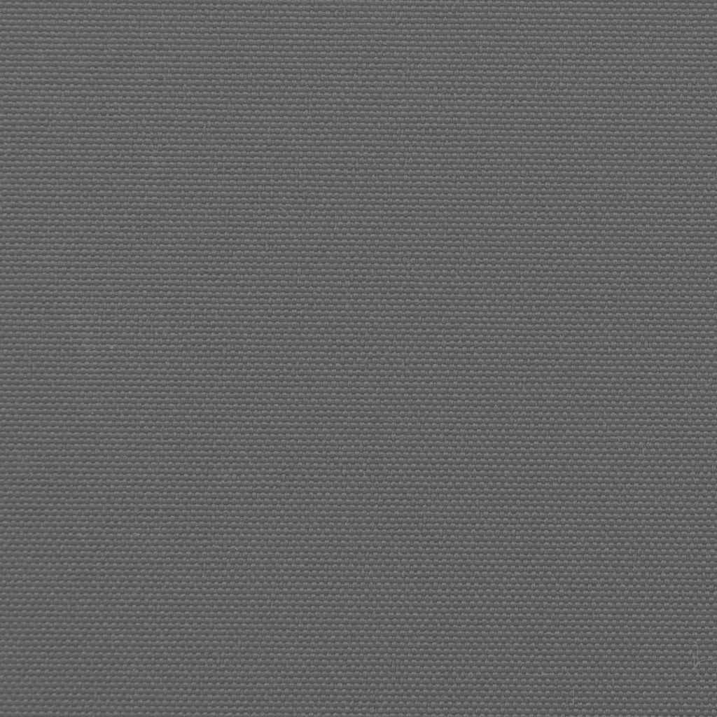 Seitenmarkise Ausziehbar Anthrazit 200x1000 cm