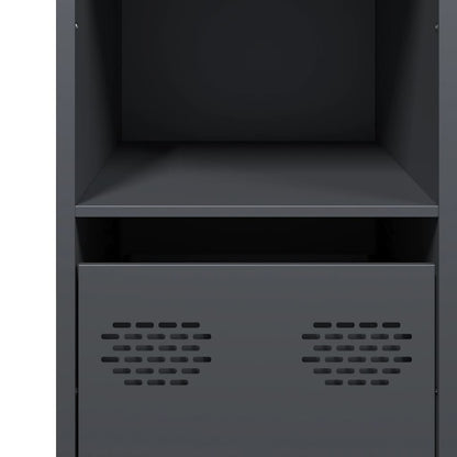 Sideboard Anthrazit 101,5x39x73,5 cm Kaltgewalzter Stahl