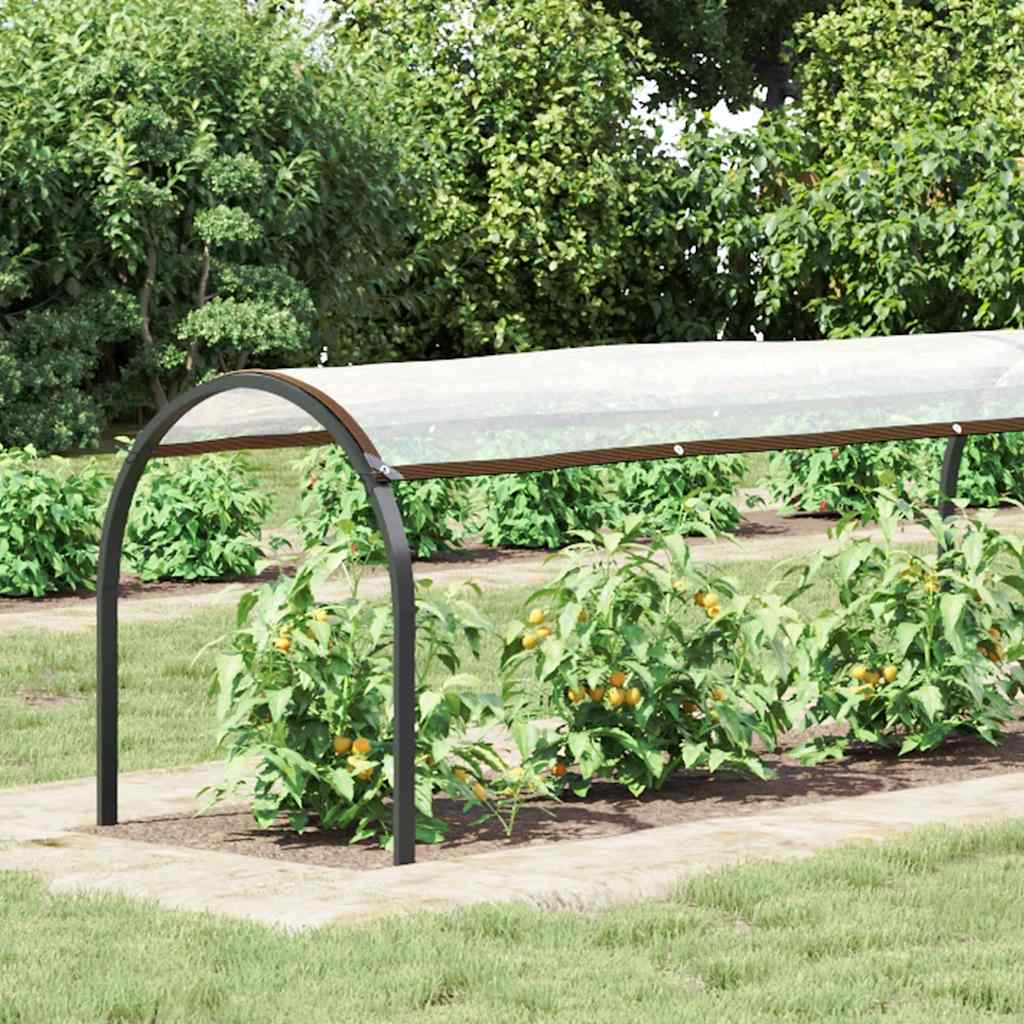 Transparente Plane mit Ösen 1x12 m Polyethylen