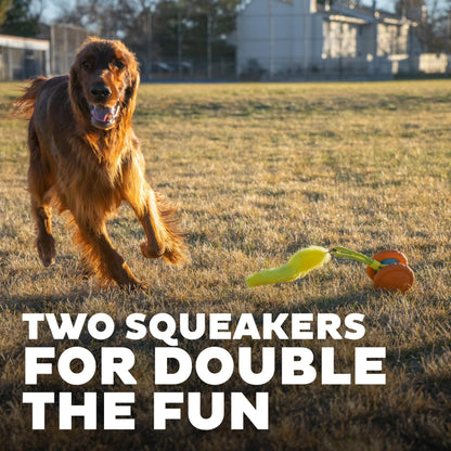 Outward Hound Tail Teaser Replacement Lure for Dog Teaser Wand, Fox