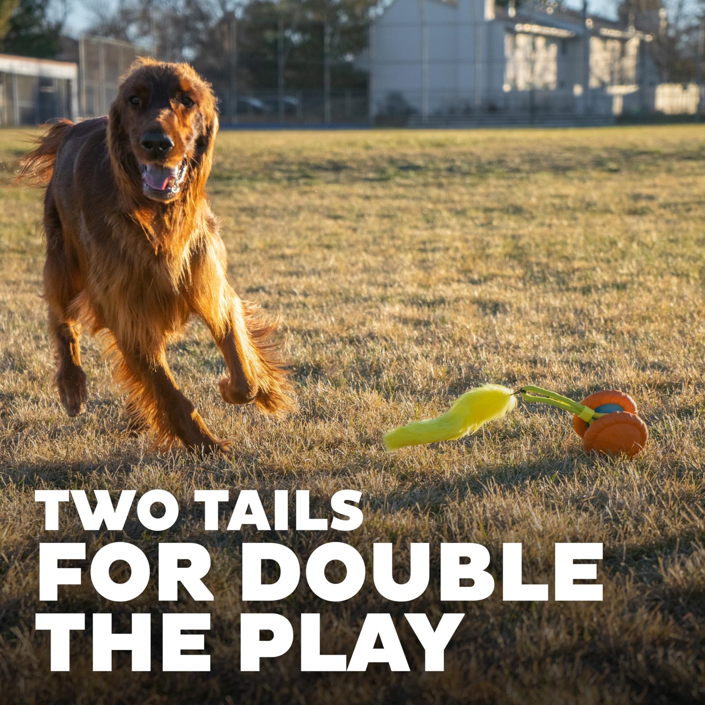 Outward Hound Tail Teaser Replacement Lure for Dog Teaser Wand, Fox