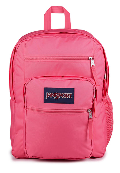 JanSport Laptop-Rucksack – Computertasche mit 2 Fächern, ergonomischen Schultergurten, 15-Zoll-Laptopfach, Tragegriff – Bücherrucksack – Erdbeer-Dusche 